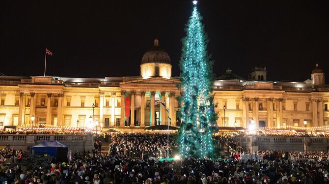 Weihnachtsbäume von traditionell bis digital Weihnachtsbäume von traditionell bis digital