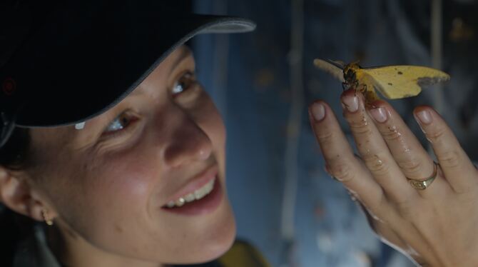 Hannah Emde Hannah Emde steht nachts vor einer Insektenfalle im Regenwald Costa Ricas, sie schaut eine große Motte an, die auf ihrem Arm sit