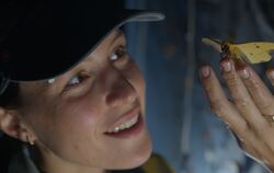 Hannah Emde steht nachts vor einer Insektenfalle im Regenwald Costa Ricas, sie schaut eine große Motte an, die auf ihrem Arm sit