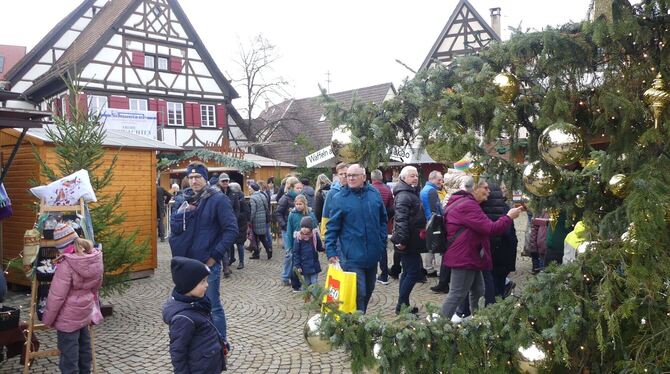Gewusel bis zum Sonntagnachmittag auf dem Metzinger Kelternplatz.  FOTO: SANDER