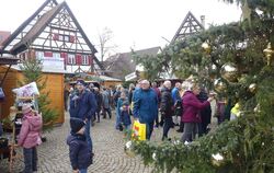 Gewusel bis zum Sonntagnachmittag auf dem Metzinger Kelternplatz.  FOTO: SANDER