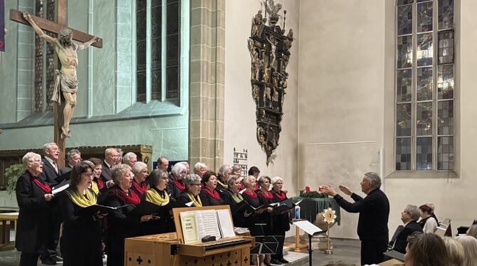 Der Liederkranz Pfullingen in der Martinskirche. FOTO: RUOF Der Liederkranz Pfullingen in der Martinskirche. FOTO: RUOF