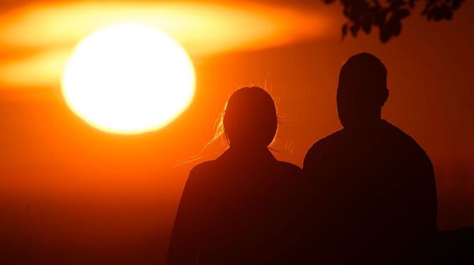 Säuger-Vergleich: Der Mensch ist eine monogame Art Säuger-Vergleich: Der Mensch ist eine monogame Art