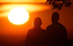 Säuger-Vergleich: Der Mensch ist eine monogame Art