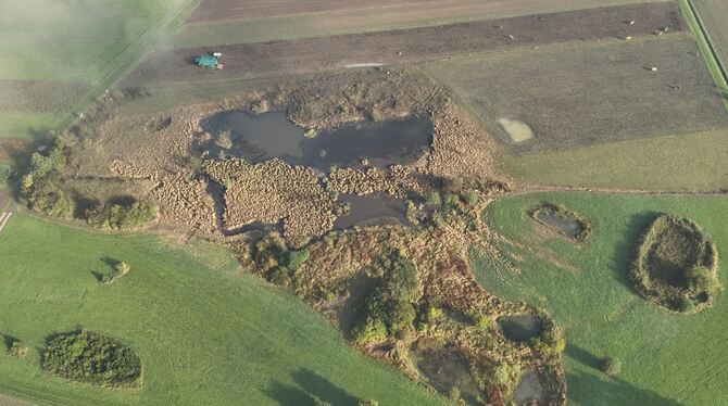 Beste Bedingungen für den Kiebitz: Am »Hinteren See« bei Ammerbuch entfernten Naturschützer Gehölze und baggerten flache Tümpel Beste Bedingungen für den Kiebitz: Am »Hinteren See« bei Ammerbuch entfernten Naturschützer Gehölze und baggerten flache Tümpel