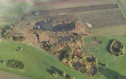 Beste Bedingungen für den Kiebitz: Am »Hinteren See« bei Ammerbuch entfernten Naturschützer Gehölze und baggerten flache Tümpel
