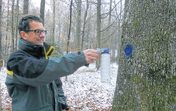 Georg Baumbusch ist für den Wannweiler Forst zuständig. Auf diesem Archivbild zeigt der Revierleiter, wie er mit einem blauen Pu