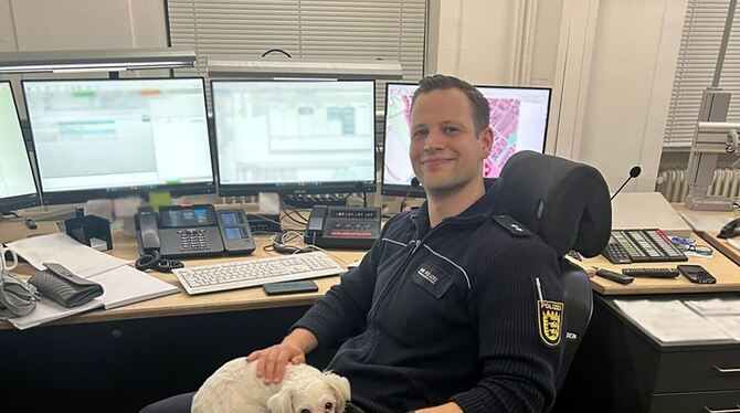 Malteser-Mischlings-Hündin bei der Polizei Malteser-Mischlings-Hündin bei der Polizei