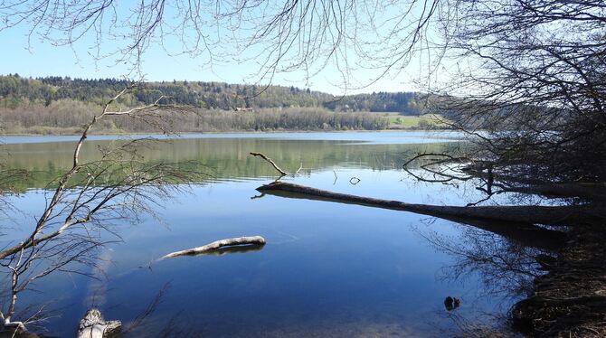 mindelsee bei radolfzell zum roman ennos tanz von frank holger schneider foto flodur Der Mindelsee bei Radolfzell: Im Hinterland von Konstanz am Bodensee erlebt der 14-jährige Enno seine Abenteuer.