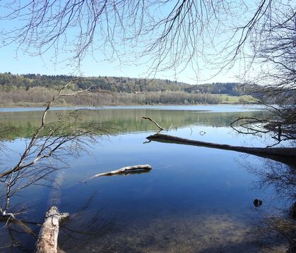 Der Mindelsee bei Radolfzell: Im Hinterland von Konstanz am Bodensee erlebt der 14-jährige Enno seine Abenteuer.