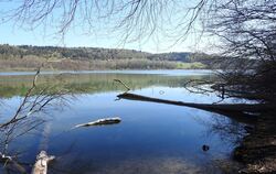 Der Mindelsee bei Radolfzell: Im Hinterland von Konstanz am Bodensee erlebt der 14-jährige Enno seine Abenteuer.