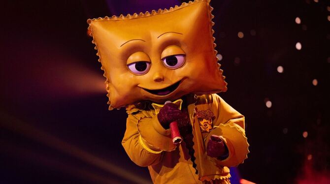 »The Masked Singer« - Finale »The Masked Singer« - Finale