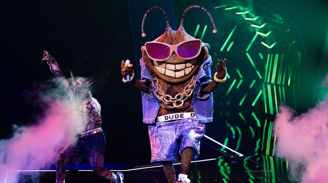 »The Masked Singer« »The Masked Singer«
