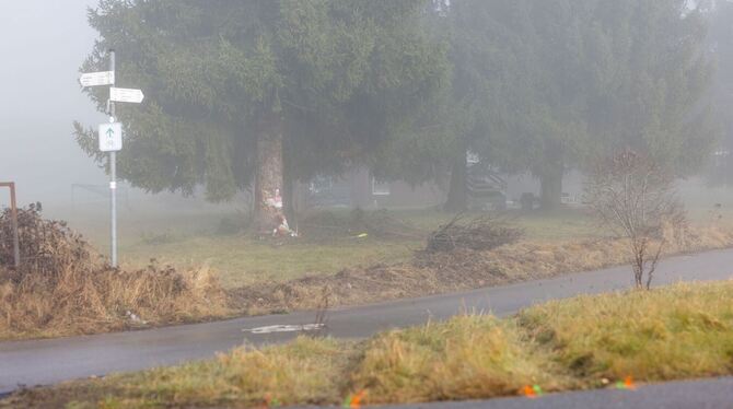 Polizist kommt bei Unfall mit Streifenwagen um Polizist kommt bei Unfall mit Streifenwagen um