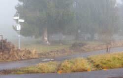 Polizist kommt bei Unfall mit Streifenwagen um