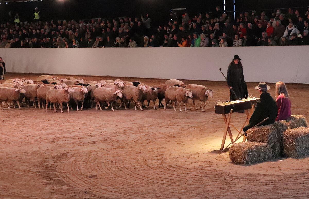 Lebendige Bilder der Weihnacht 076