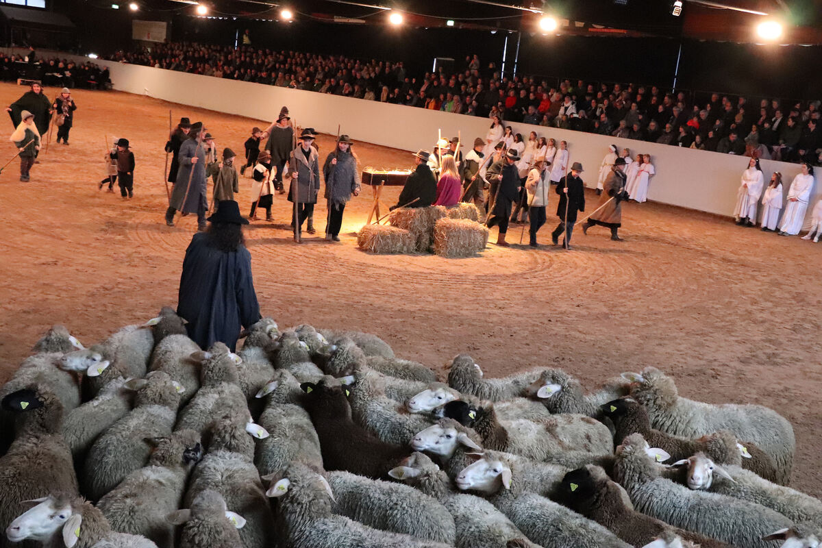 Lebendige Bilder der Weihnacht 094