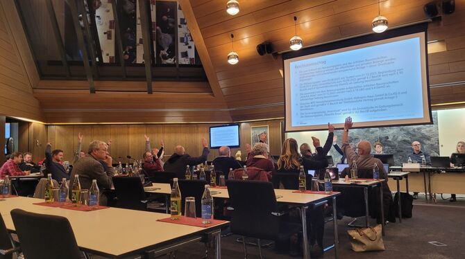 Bei der Abstimmung zum Hoeckle-Areal hatten die Gymnasiasten den Sitzungssaal bereits verlassen.