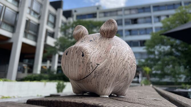 Sparschwein Rathaus Reutlingen Das Sparschwein vor dem Reutlinger Rathaus hat eigentlich nichts mehr zu lachen: Enorme Sparmaßnahmen werden in den kommenden Ja