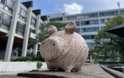 Das Sparschwein vor dem Reutlinger Rathaus hat eigentlich nichts mehr zu lachen: Enorme Sparmaßnahmen werden in den kommenden Ja