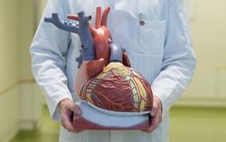 Herz-Kreislauf-Erkrankungen