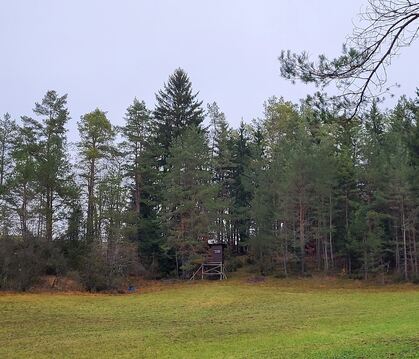 Der Münsinger Wald hat viele Funktionen.