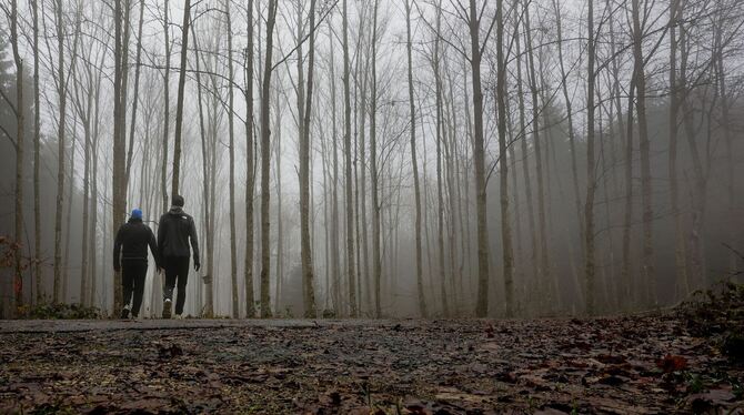 Wetter in Baden-Württemberg Wetter in Baden-Württemberg