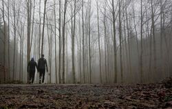 Wetter in Baden-Württemberg