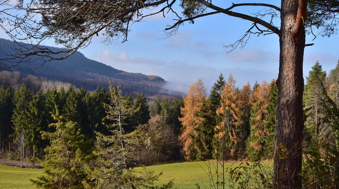 Mössingen Forst Der Waldhang zwischen Albtrauf und Farrenberg.
