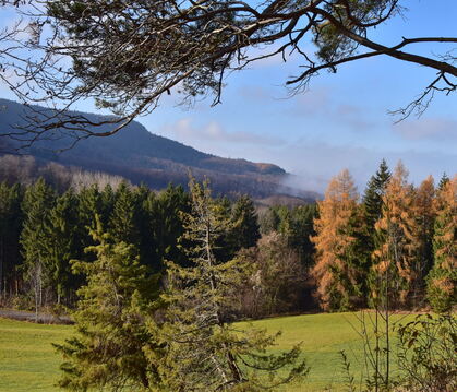 Der Waldhang zwischen Albtrauf und Farrenberg.