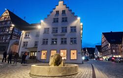 Wenig Geld, große Herausforderungen: Der Gemeinderat Trochtelfingen hat das Jahr 2025 Revue passieren lassen.