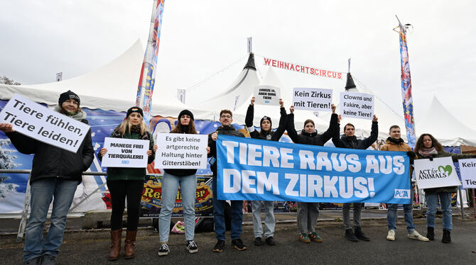 Tierschützer fordern vom Reutlinger Weihnachtscircus, gänzlich auf Tiernummern zu verzichten.