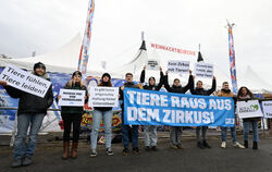 Tierschützer fordern vom Reutlinger Weihnachtscircus, gänzlich auf Tiernummern zu verzichten.