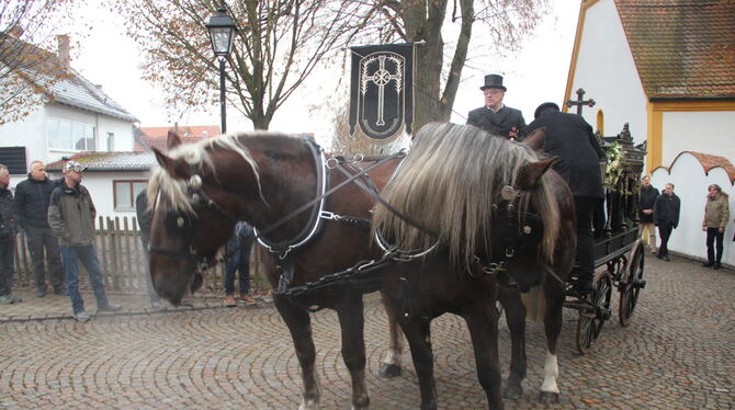 Die Kaltblüter strahlen die gebotene Würde aus.