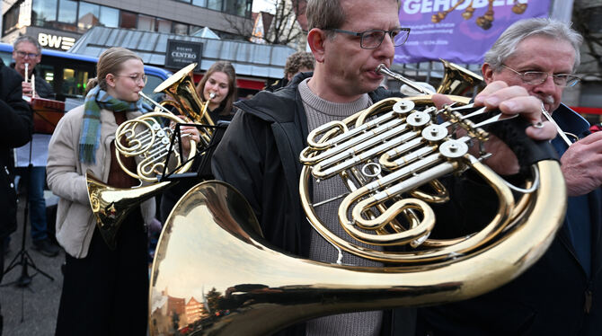 Hohes wie auch tiefes Blech zahlreich vertreten auf dem Marktplatz.
