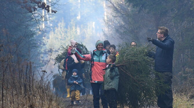 Da wär noch ein Schönerer gewesen: Die Auswahl an Weihnachtsbäumen im Rammert ist gewaltig.