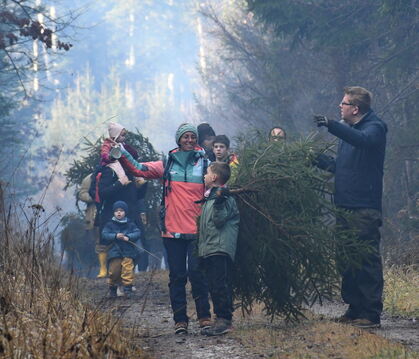 Da wär noch ein Schönerer gewesen: Die Auswahl an Weihnachtsbäumen im Rammert ist gewaltig.