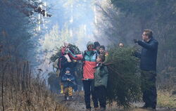 Da wär noch ein Schönerer gewesen: Die Auswahl an Weihnachtsbäumen im Rammert ist gewaltig.