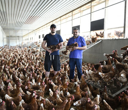 Frank Zeeb (rechts) und sein Sohn Daniel in einem Kalt-Scharraum, umgeben von braunen Hühnern.
