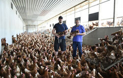 Frank Zeeb (rechts) und sein Sohn Daniel in einem Kalt-Scharraum, umgeben von braunen Hühnern.