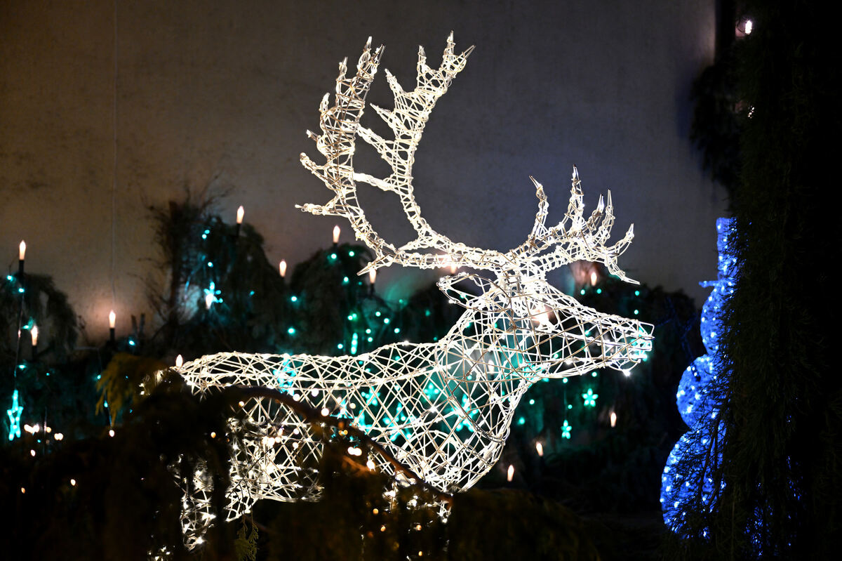 weihnachtshaus_mit_malte_pieth_09