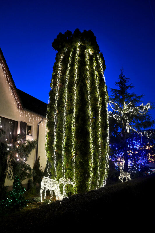 weihnachtshaus_mit_malte_pieth_011