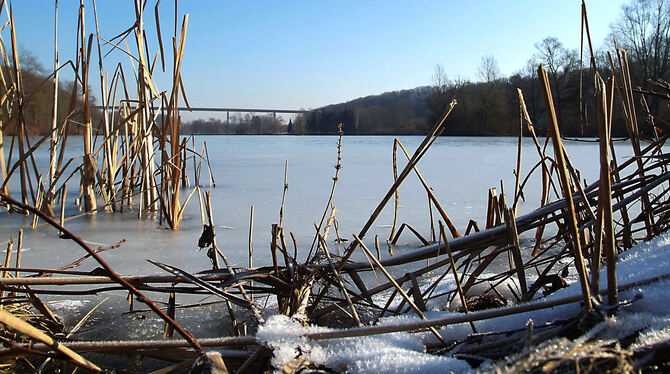 Der Kirchentellinsfurter Baggersee. Dort wurde jüngst ein toter Höckerschwan entdeckt, der mit dem Vogelgrippevirus infiziert wa