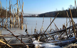 Der Kirchentellinsfurter Baggersee. Dort wurde jüngst ein toter Höckerschwan entdeckt, der mit dem Vogelgrippevirus infiziert wa