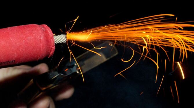 Silvester-Böllerei lässt Tiere leiden Silvester-Böllerei lässt Tiere leiden