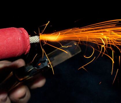 Silvester-Böllerei lässt Tiere leiden