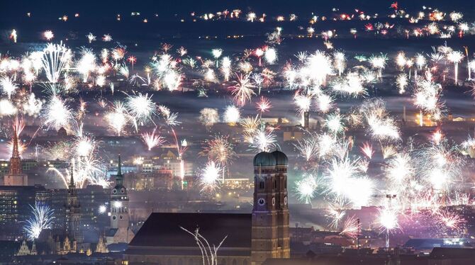Silvester-Böllerei lässt Tiere leiden Silvester-Böllerei lässt Tiere leiden
