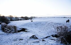 Winter in Großbritannien