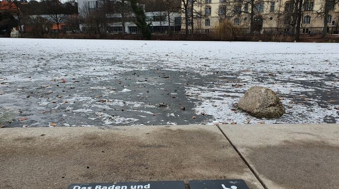 Eine dünne Eisschicht auf dem Tübinger Anlagensee lockt Unvernünftige an.  FOTO: SCHITZ