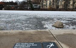 Eine dünne Eisschicht auf dem Tübinger Anlagensee lockt Unvernünftige an.  FOTO: SCHITZ